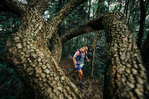 BIB: 
                            <button type="button" onclick="openModal(25393693)" class="btn btn-primary btn-sm float-right btn-popup" data-toggle="modal" data-target=".modal-high-quality">
                        <i class="fas fa-shopping-cart"></i> Add to Cart
                    </button>
                                            <button type="button" onclick="isThisMe(25393693, true)" class="btn btn-success btn-sm float-right btn-popup btn-isme hidden" data-toggle="tooltip" data-placement="bottom" title="นี่คือรูปของคุณใช่ไหม คลิกที่นี่เพื่อเอาเข้าอัลบั้ม">
                        <i class="fas fa-plus"></i> Add to album
                    </button>
                    <button type="button" onclick="isThisMe(25393693, false)" class="btn btn-warning btn-sm float-right btn-popup btn-isnotme hidden">
                        <i class="fas fa-ban"></i> Remove from album
                    </button>